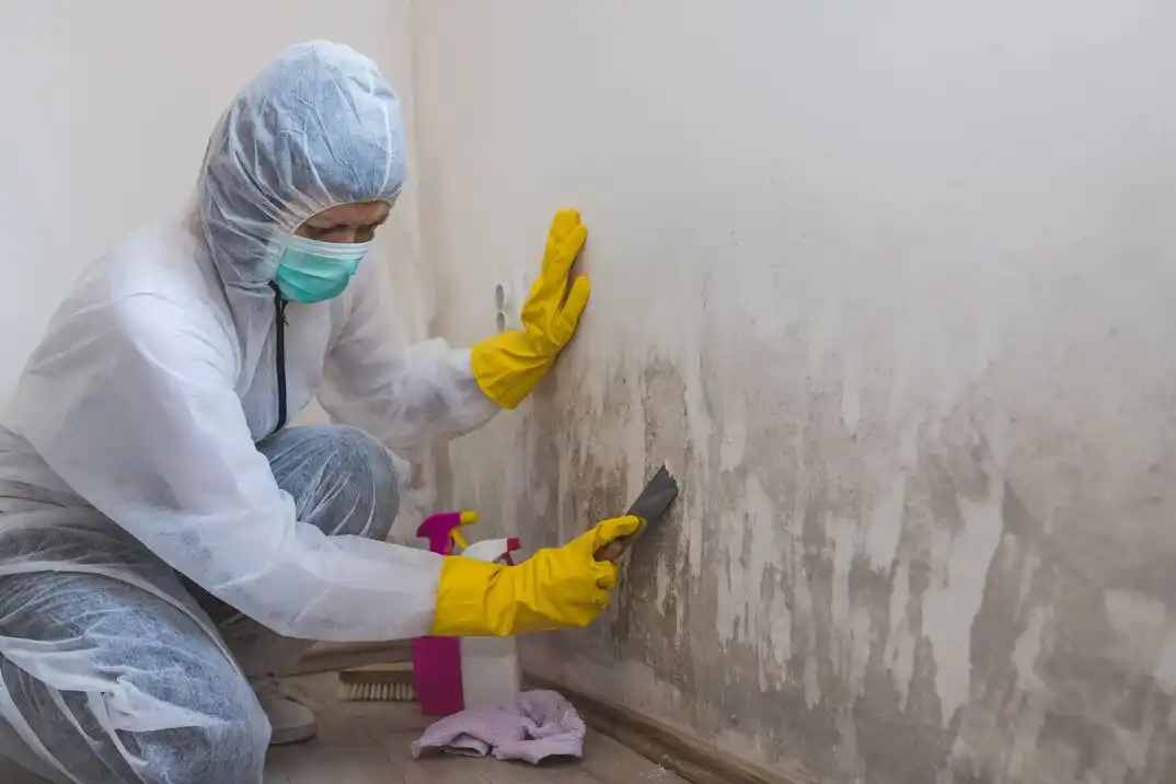 water damage restoration service Lindale Park